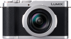 Lumix L10