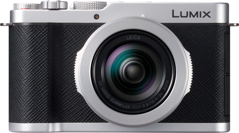 Lumix L10