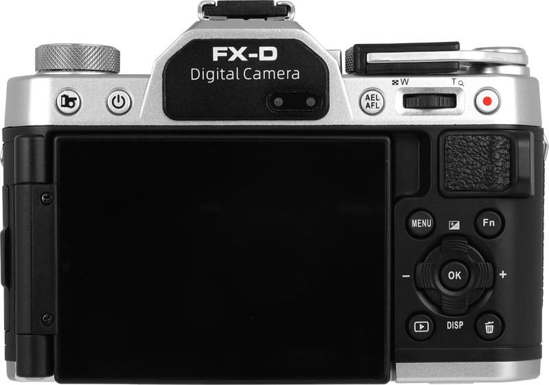 FX-D 100