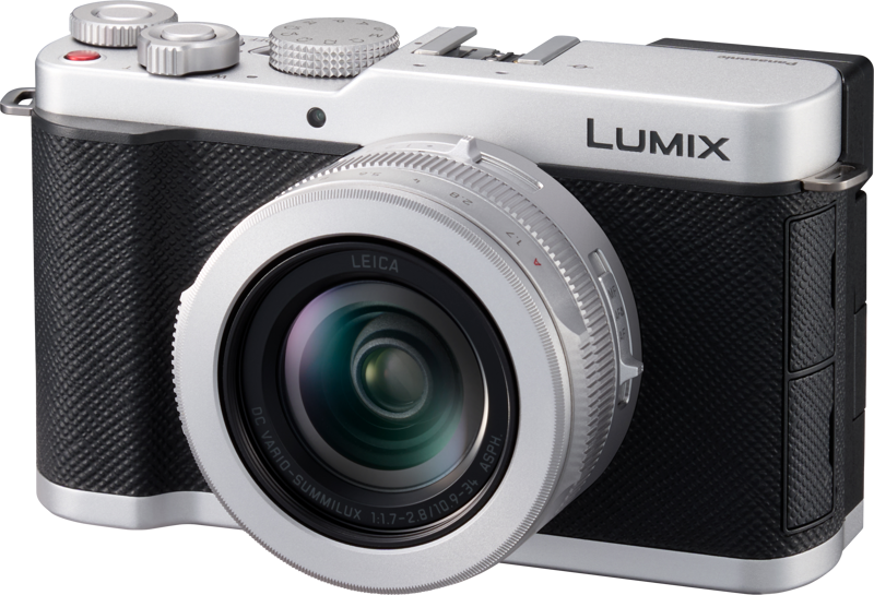 Lumix L10