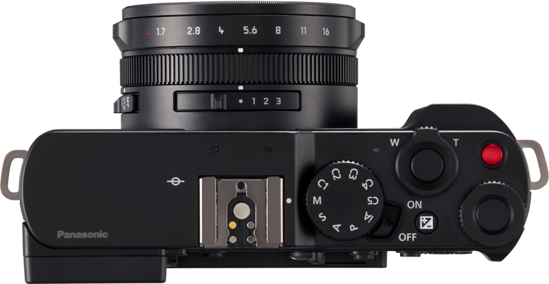 Lumix L10