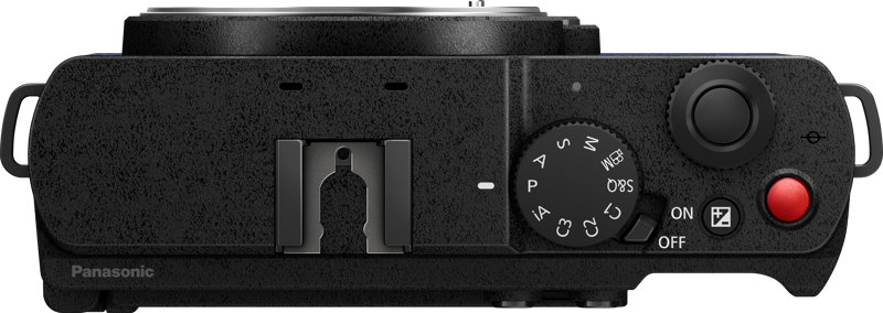 Lumix S9