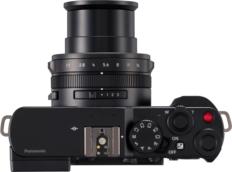 Lumix L10