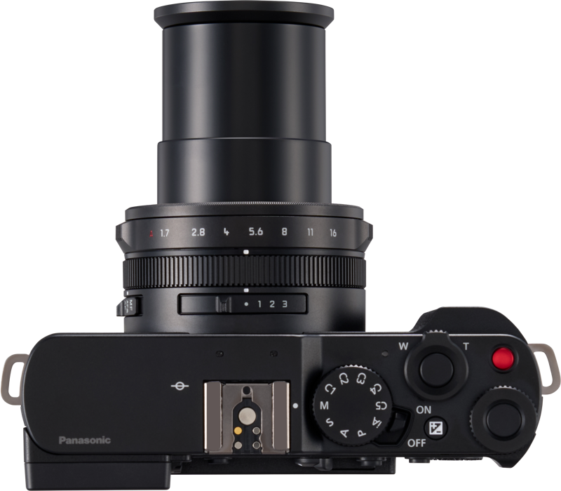 Lumix L10
